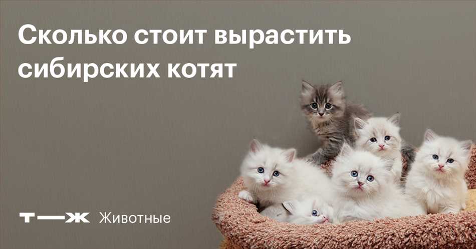 Можно ли держать кота и кошку вместе когда родились котята?