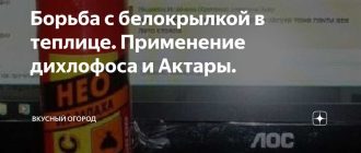 Можно ли использовать дихлофос против белокрылки в теплице?