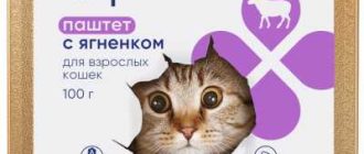 Можно ли котам паштет?