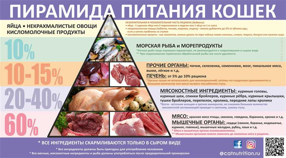 Подготовка и предоставление куриных костей