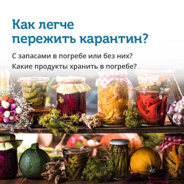 Потенциальные проблемы при кормлении крыс макаронами