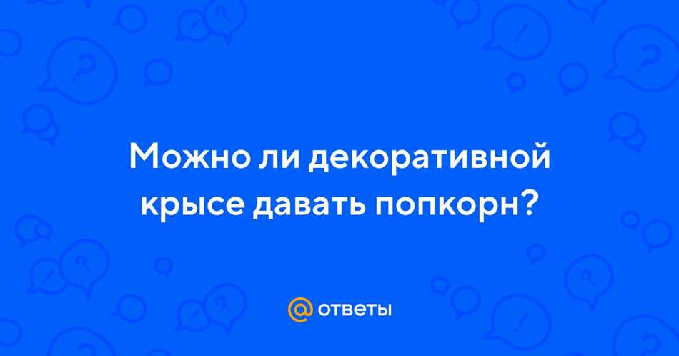 Вред или польза от попкорна для крыс?