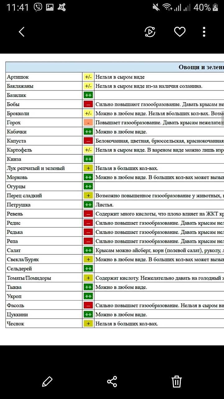 Можно ли крысам сырники?