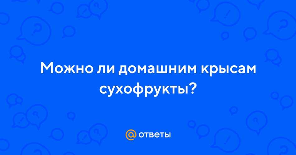 Можно ли крысам сухофрукты?