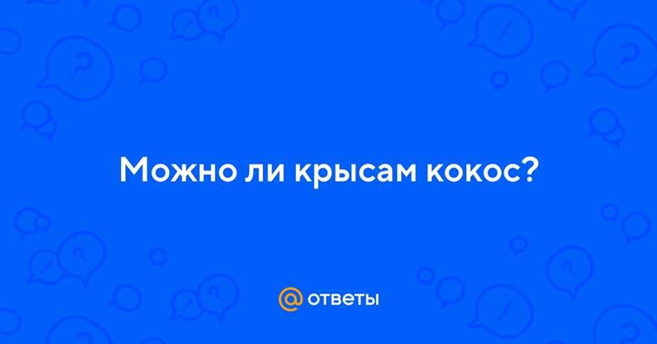 Особенности употребления сухого кокоса крысами