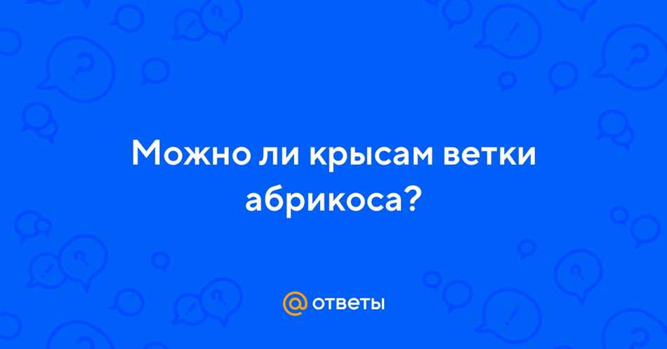 Польза веток абрикоса для крыс