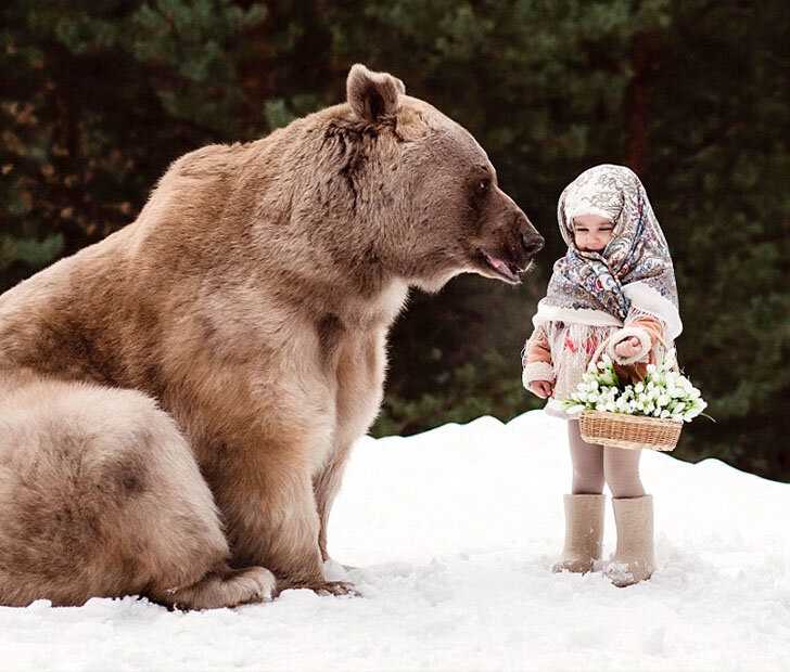 Плюсы приручения медведя с детства: