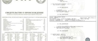 Собачьи документы: возможно ли получить их, если куплен питомец без них?