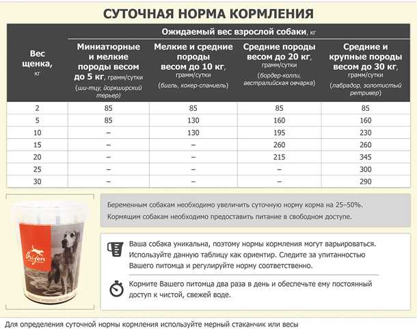 Можно ли щенку в 2 месяца давать сухой корм?