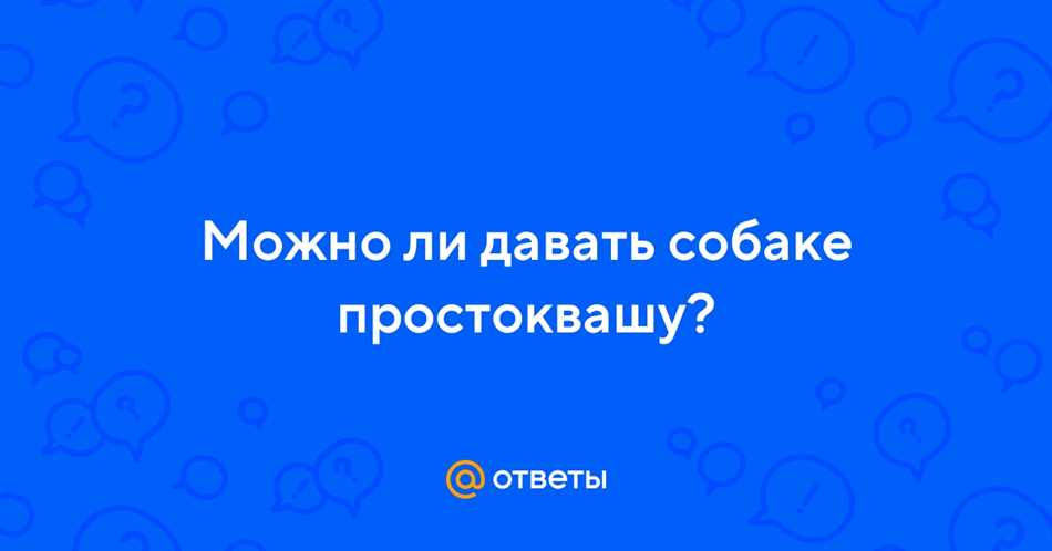 Как правильно использовать простоквашу в рационе щенка?