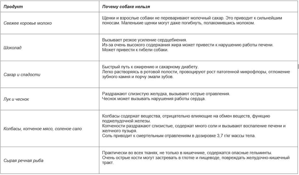 Альтернативы копченому салу