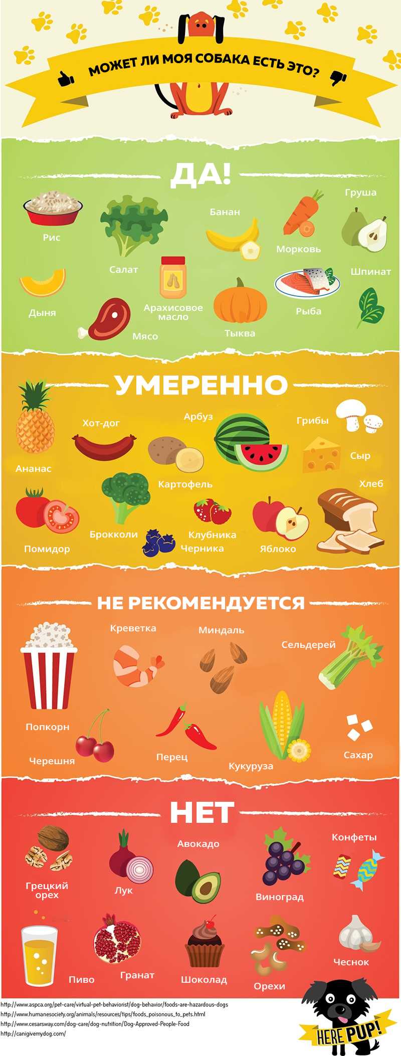 Потенциальные проблемы при кормлении собак яблоками