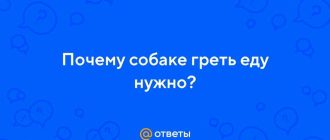 Можно ли собакам теплую еду?