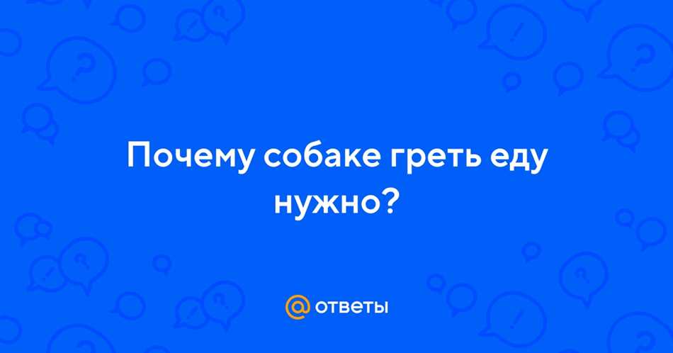 Можно ли собакам теплую еду?