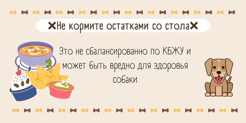 Особенности выпечки для собак