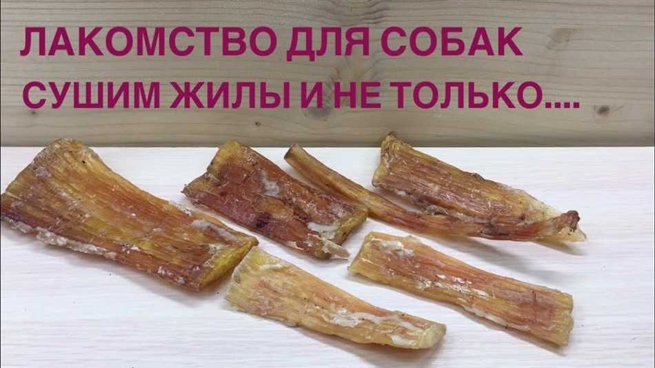 Можно ли собаке говяжьи жилы?