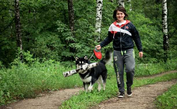 Преимущества выгула собаки в парке