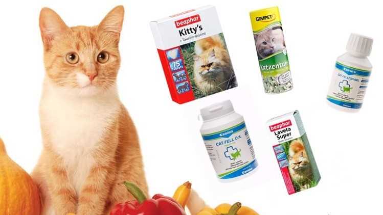 Какие витамины нужны кошкам?