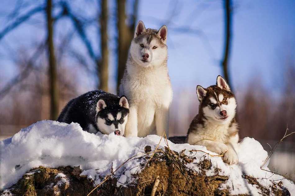 4. Уход и воспитание