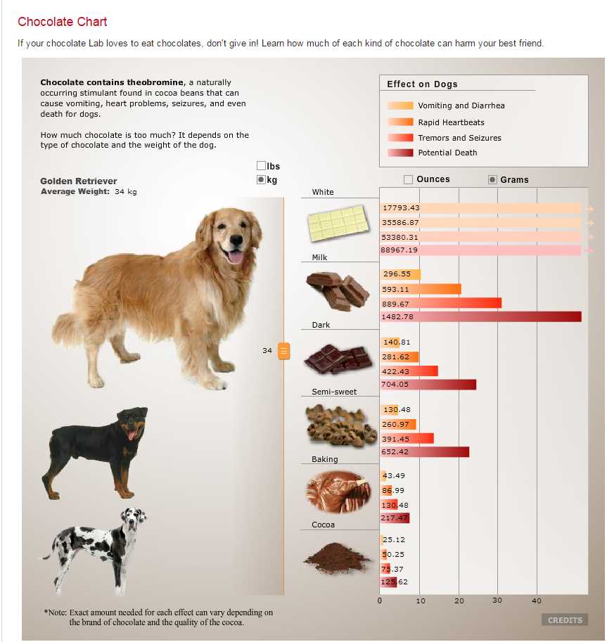 Сколько шоколада опасно для собаки?