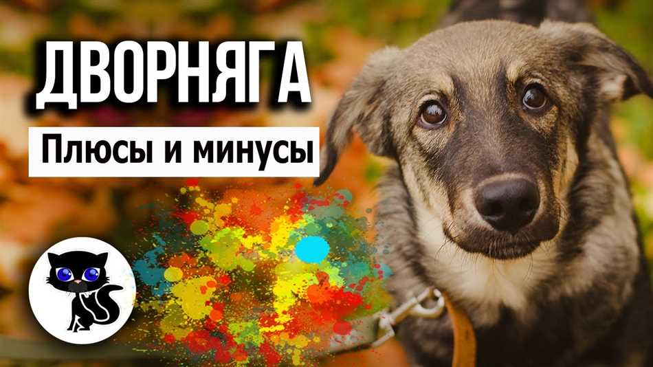 Плюсы и минусы собак