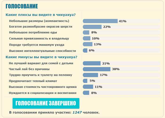 Жизнерадостный и энергичный характер