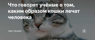 Почему говорят что кошки лечат?