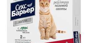 Почему кошка после спаривания продолжает просить кота?