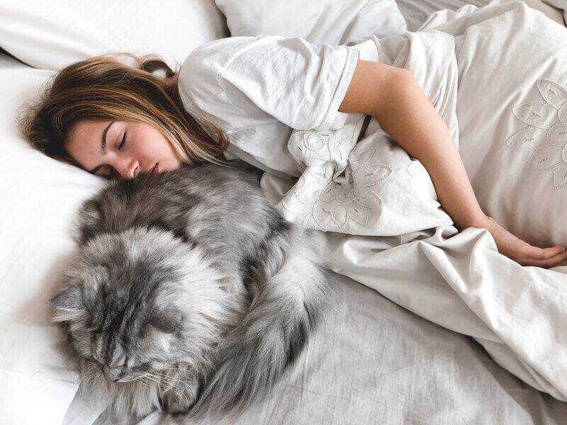 Почему кошка спит на человеке на грудной клетке?