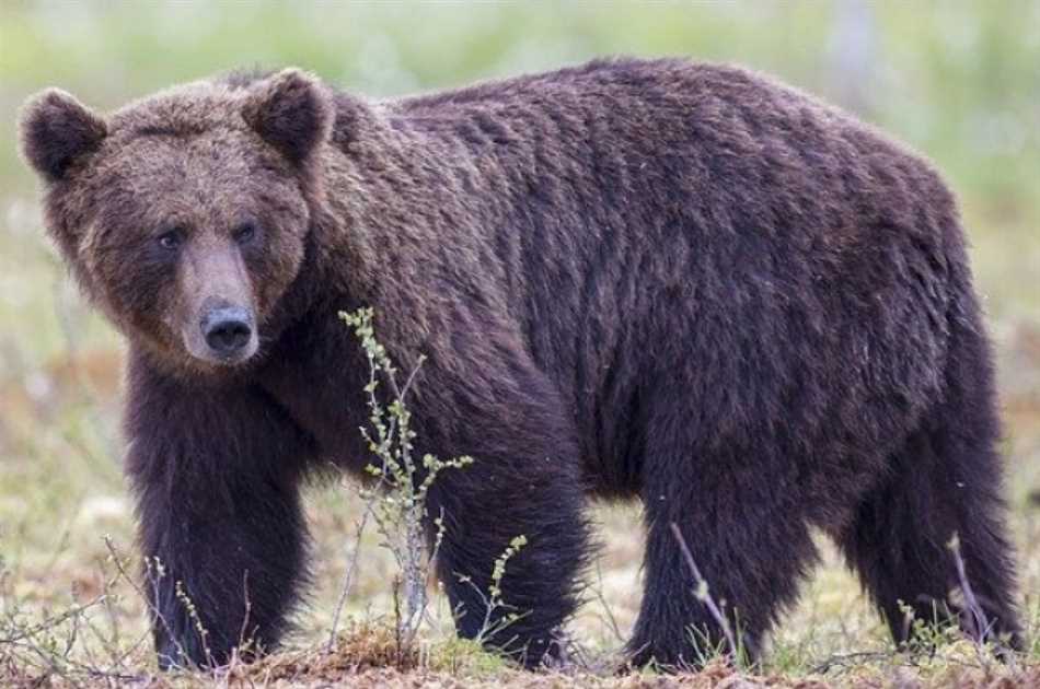 Психологические условия