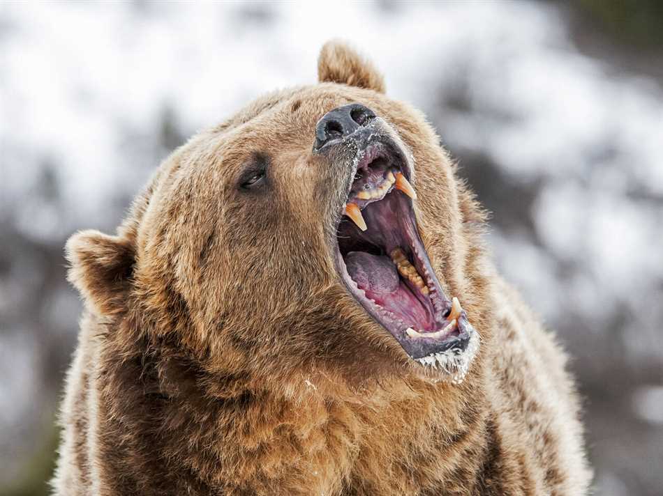 Ограниченные ресурсы