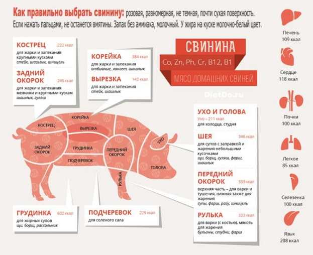 Почему шпицам нельзя свинину давать?