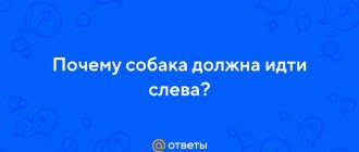 Почему собака должна идти слева от хозяина?