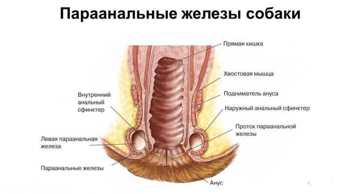 Знак неудовлетворенности и недостатка деятельности