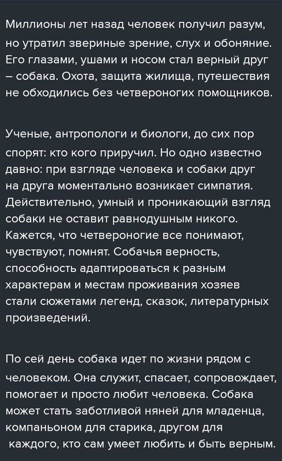 Уникальная психологическая связь между собакой и человеком