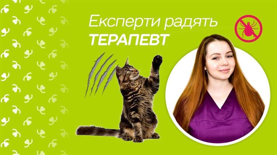 Почему стерилизованная кошка ночами гуляет?