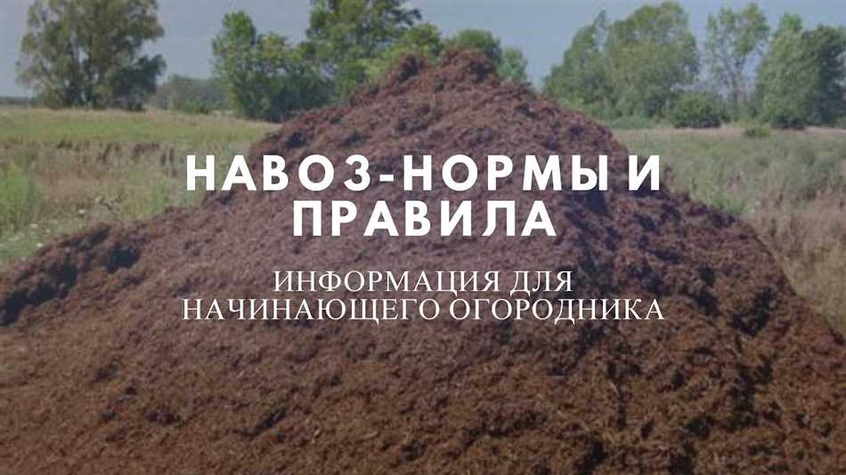 Полезен ли навоз лошадиный для растений?