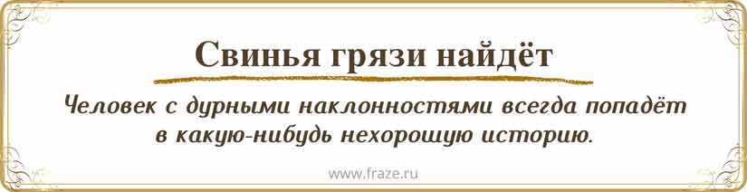 Пословицы по типу свинья везде грязь найдет