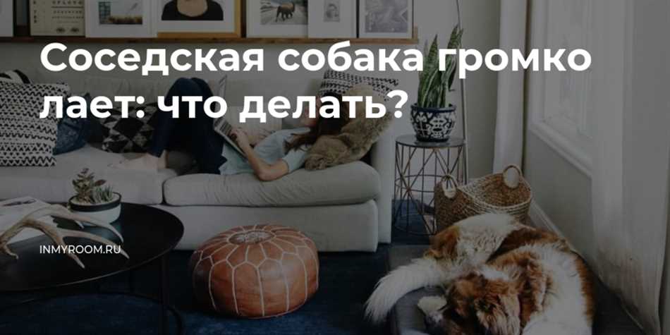 Сколько децибел лай собаки?