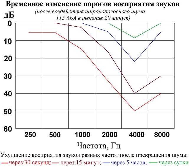 Каков уровень шума на концертах?