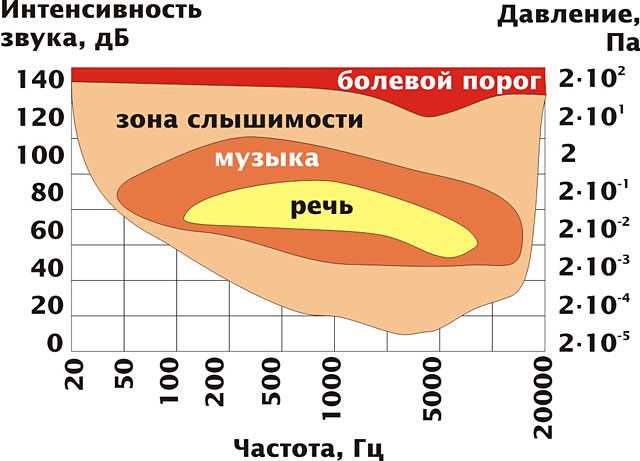 Максимальное значение децибел, воспринимаемое человеческим слухом