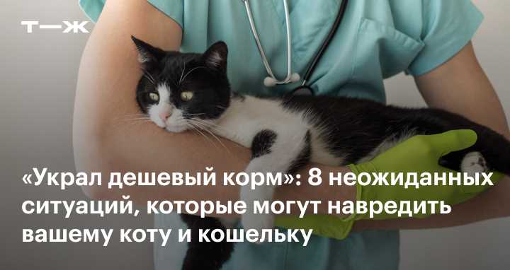 Длительность ношения котектора