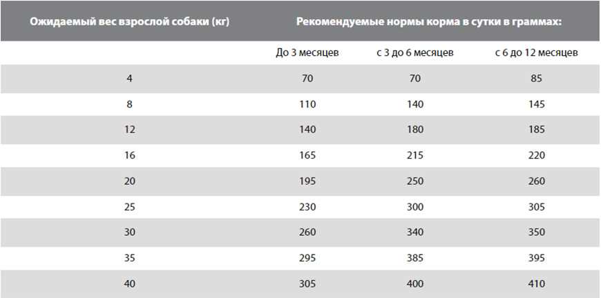 Сколько грамм корма нужно давать щенку в 2 месяца немецкой овчарки?