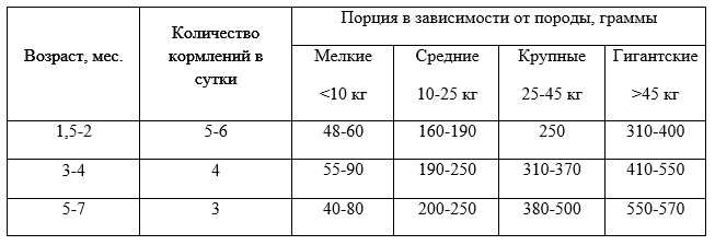 Возраст и вес щенка