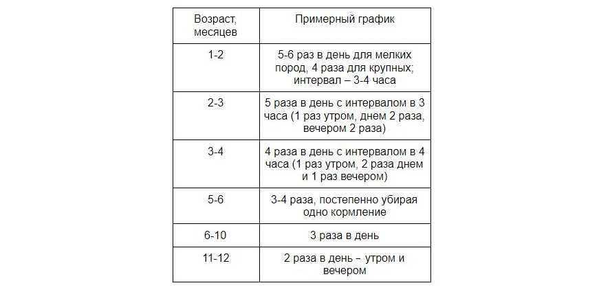 Сколько грамм сухого корма нужно собаке в день корги 7 месяцев?