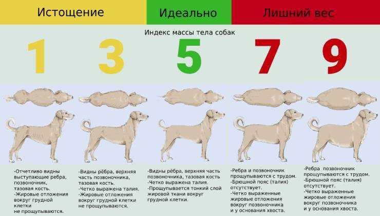 Рассмотрите следующие факторы: