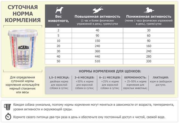 Рекомендации по кормлению лабрадора для поддержания здоровья