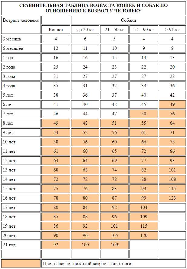 Как определить возраст собаки в человеческих годах?