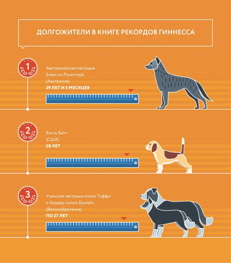 2. Правильное питание