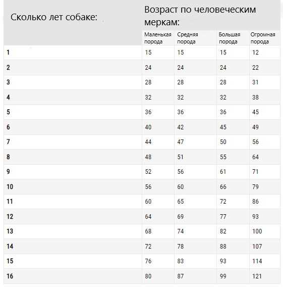 Сколько лет собаке по человеческим меркам ей если 1 год и 8 месяцев и 21 день?